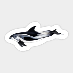 White-beaked dolphin Sticker